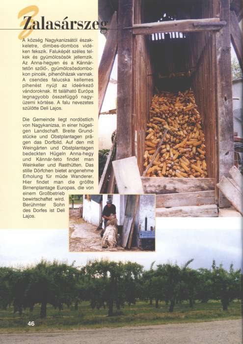 Zalasárszeg - Hívogató a Régiók Kapujában.jpg Zalasárszeg - Hívogató a Régiók Kapujában.jpg
